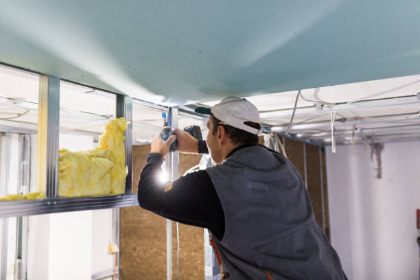 Best Insulation Installation Cost  in West Odessa, TX